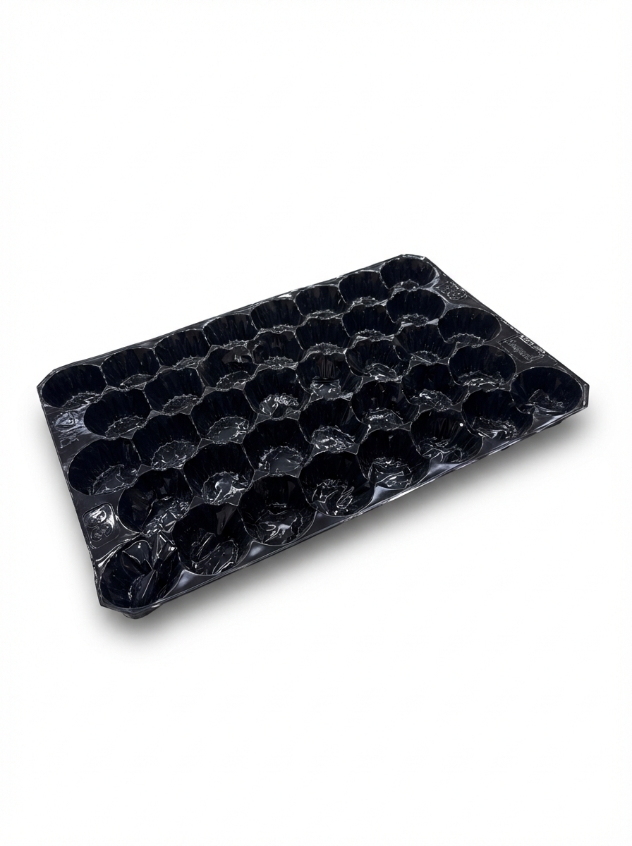 ALVEOLO ESFERICO 40x60 RPET